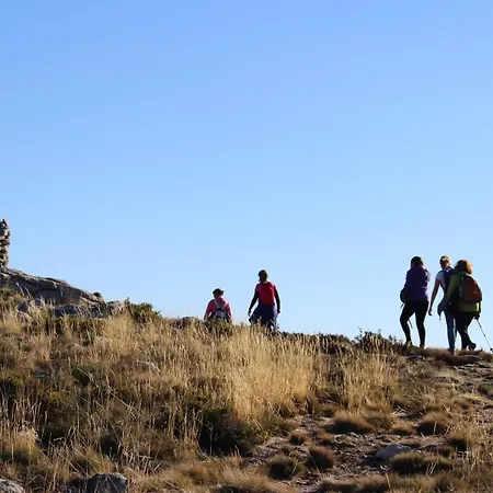 Lobo - Casas Barca Do Rio By Casas *