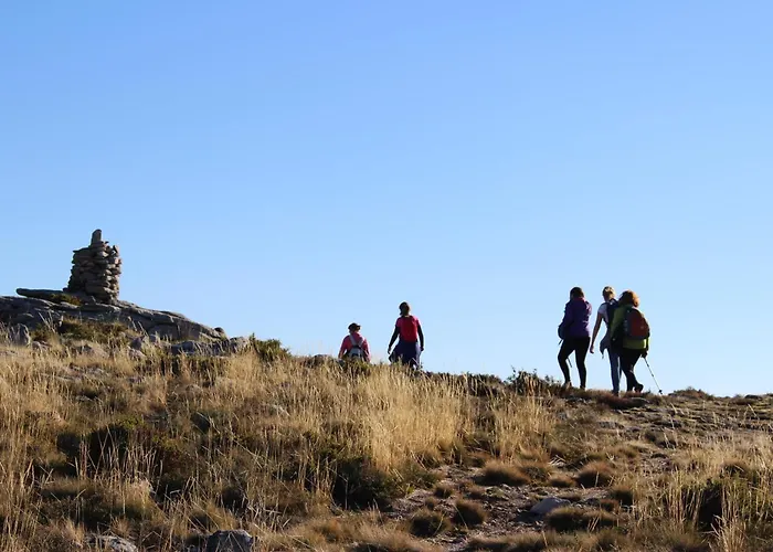 Lobo - Casas Barca Do Rio By Casas *